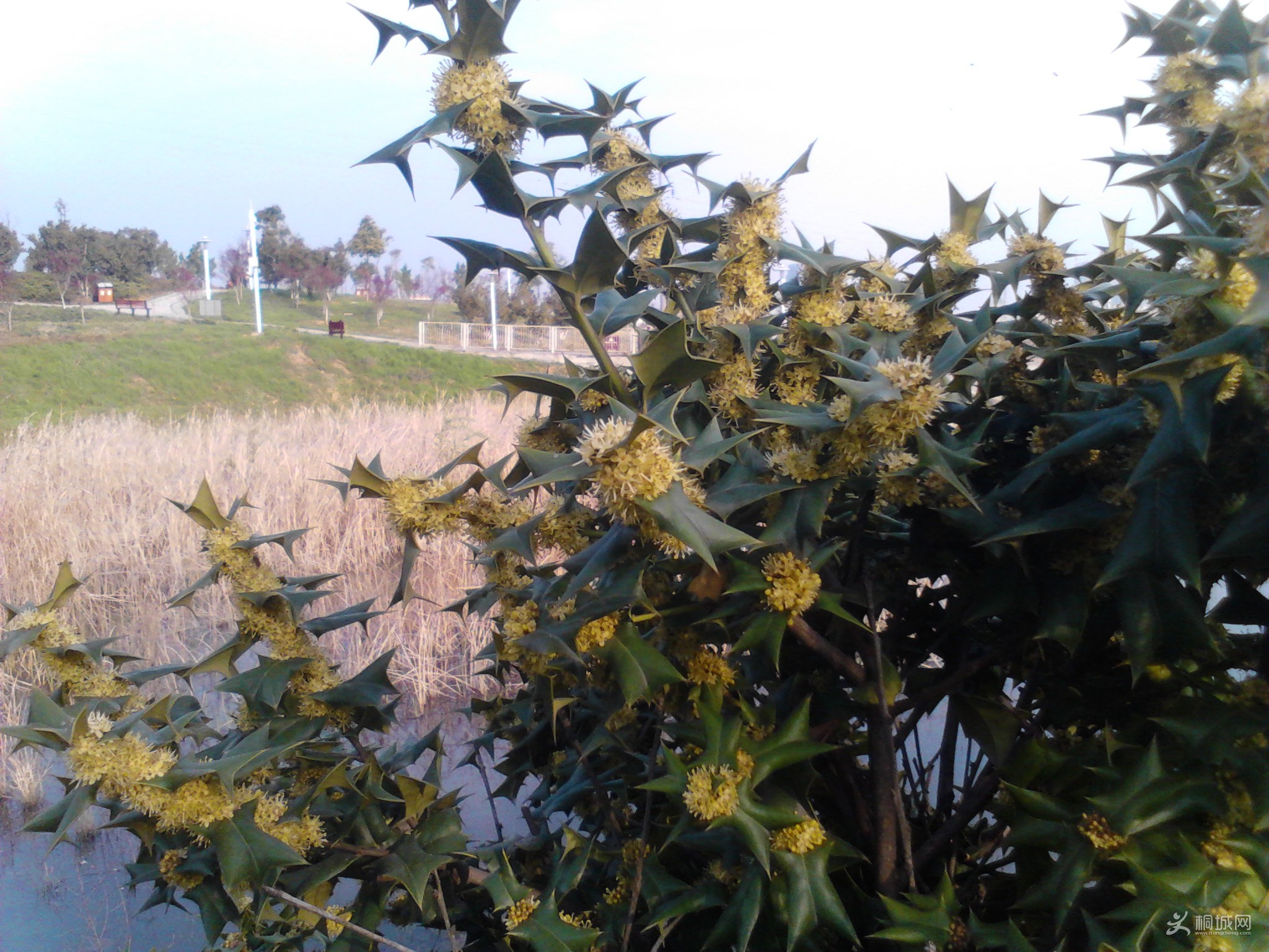 Camera_20130331_164913.jpg
