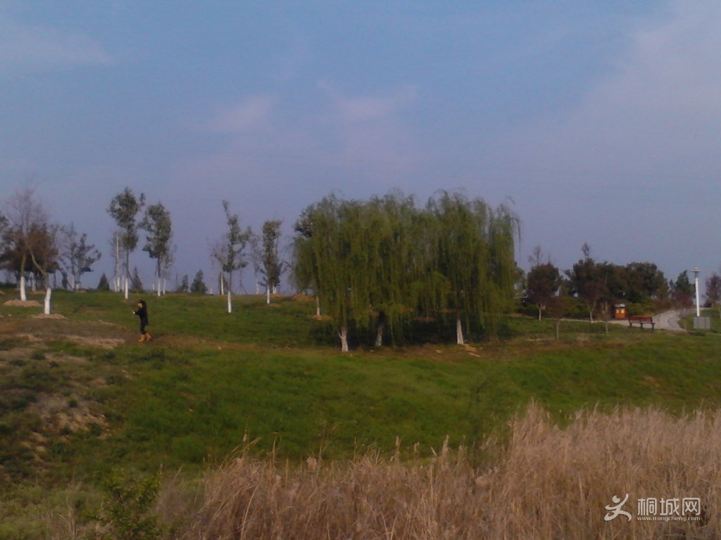 Camera_20130331_164933.jpg
