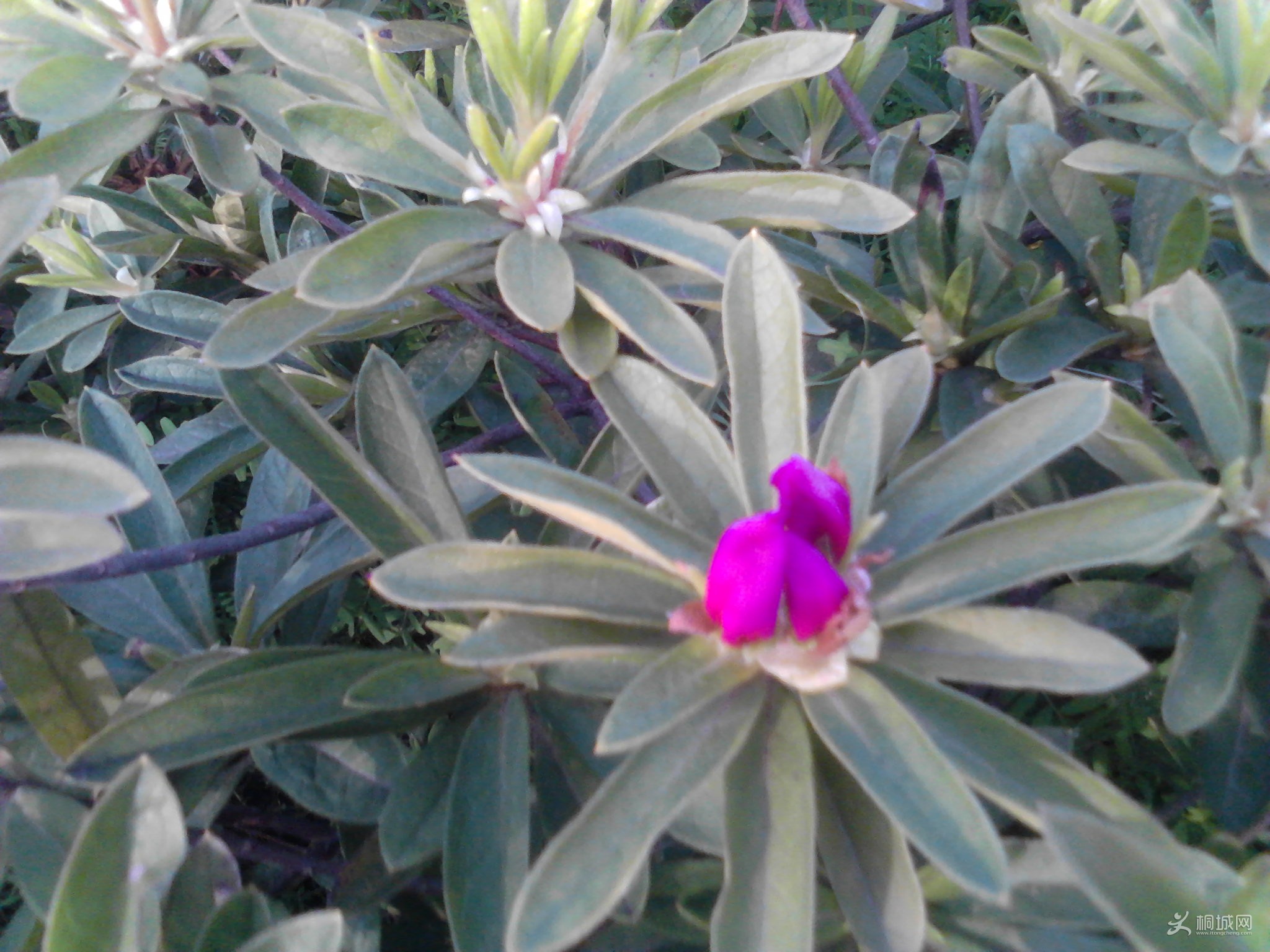 Camera_20130331_165207.jpg