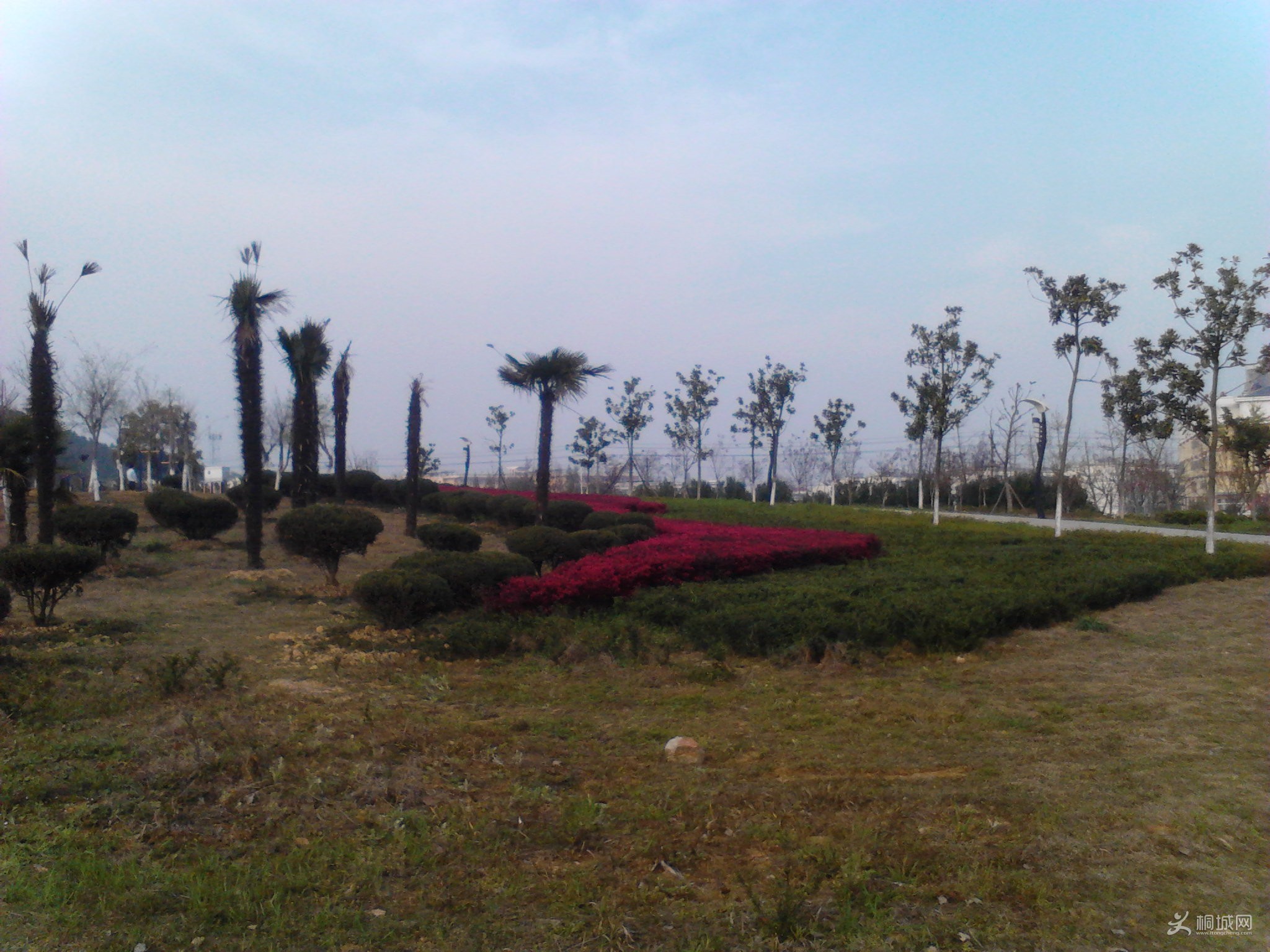 Camera_20130331_165612.jpg