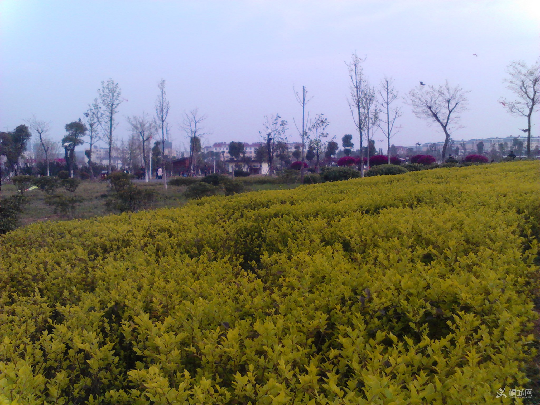 Camera_20130331_170003.jpg