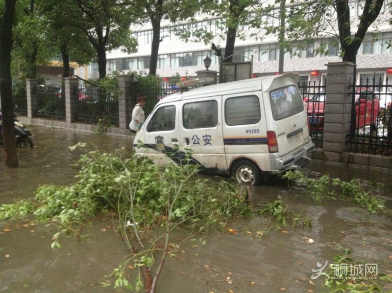 psb (18).jpg