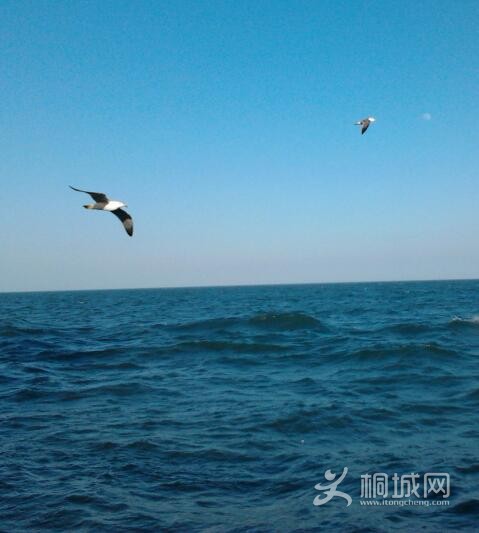 2012-07-01 17.30.26-1.jpg