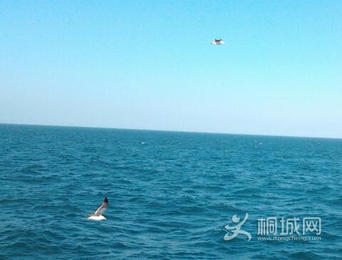 2012-07-01 17.28.49-1.jpg