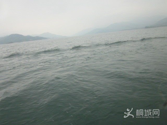 IMG_4041.JPG