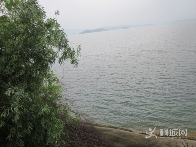 IMG_4059.JPG