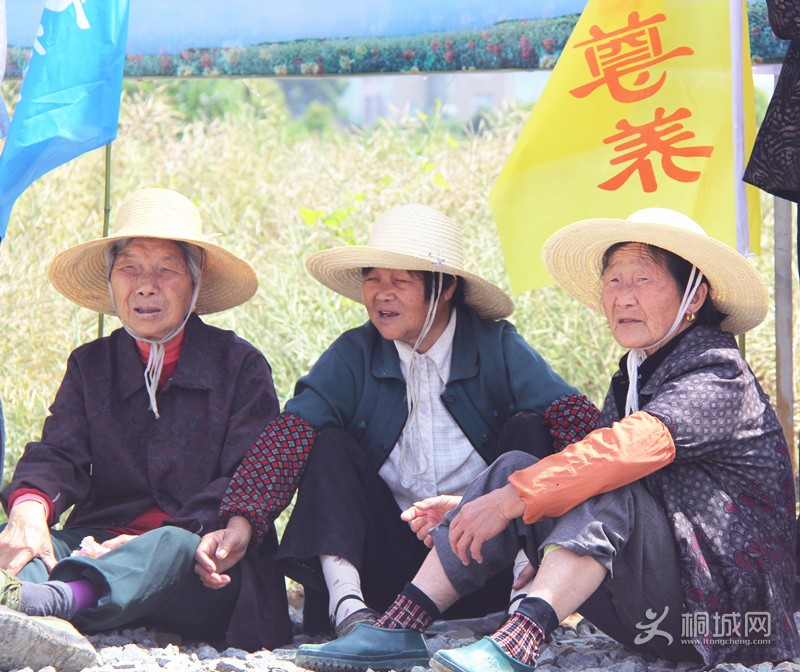 ͩ������Ӱ����-������Ӱ