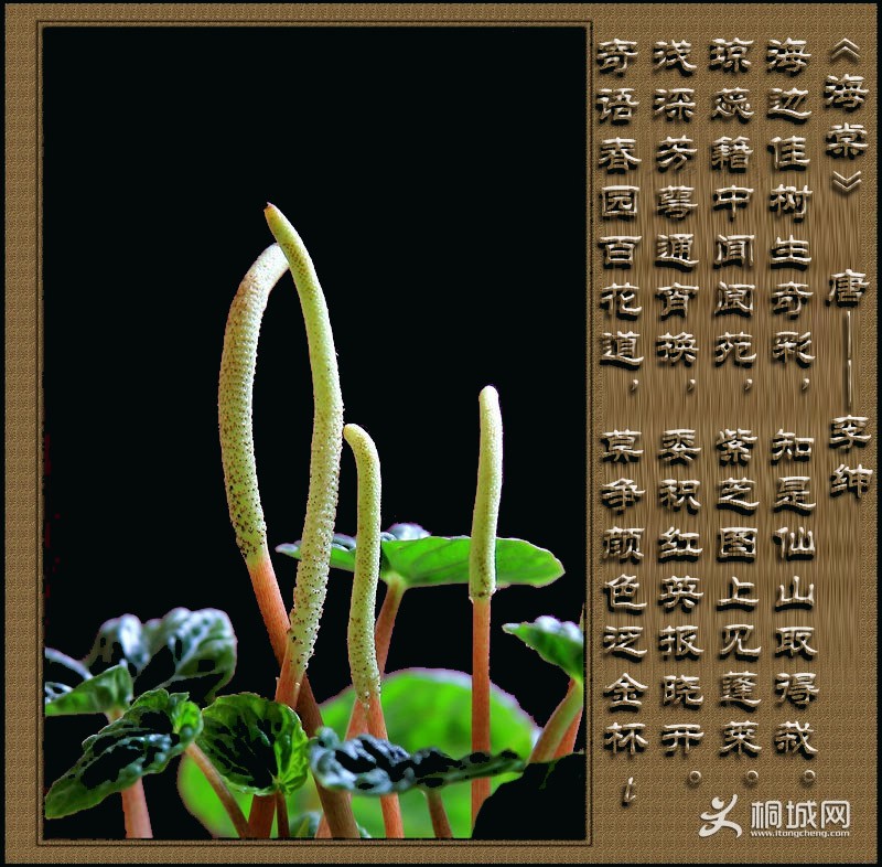 ѧ����һ��