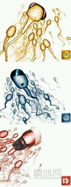 �¹������׹�棺��Щ�˾ͱ��뱻��ɱ��������