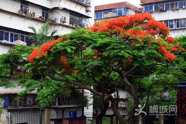 ��˻����� ��һ��.jpg