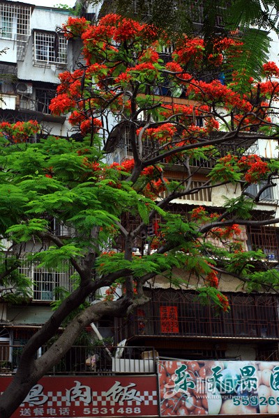 ��˻����� ������.jpg