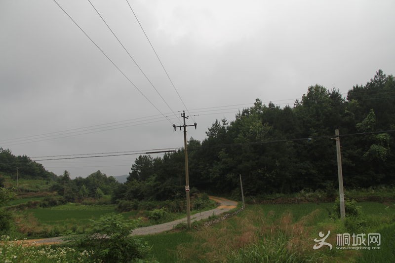 IMG_0100_.jpg
