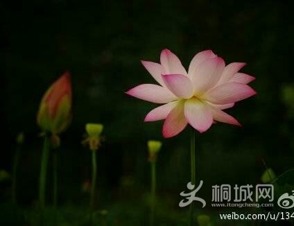 img-1345124765378-1-1.jpg