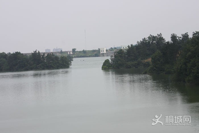 IMG_4139.JPG