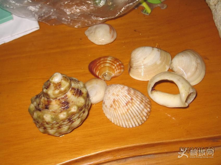 63.jpg