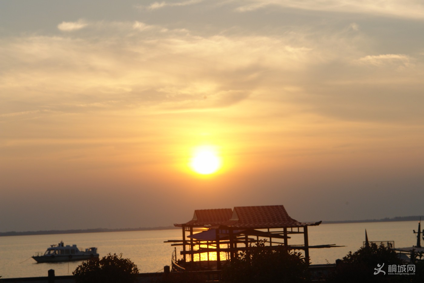 DSC001.jpg