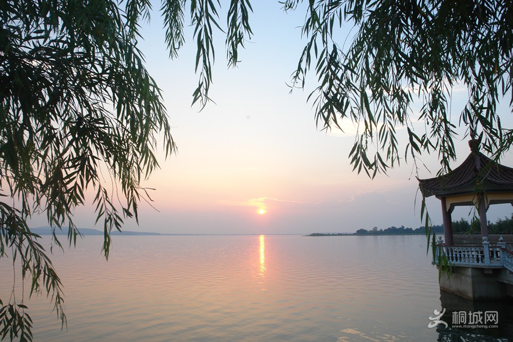 DSC006.jpg