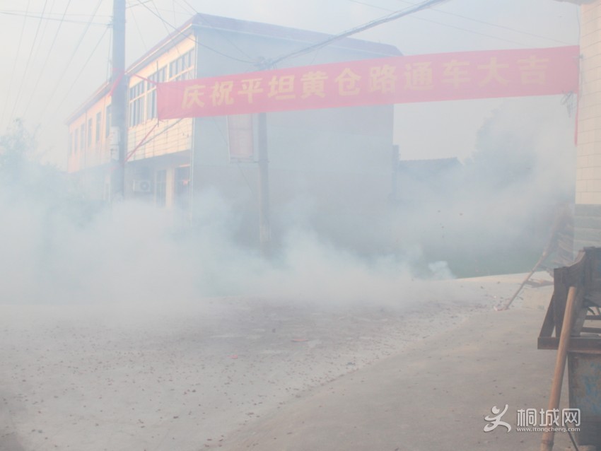 ���ű����񻨵����ţ��Ʋ�·ͨ����