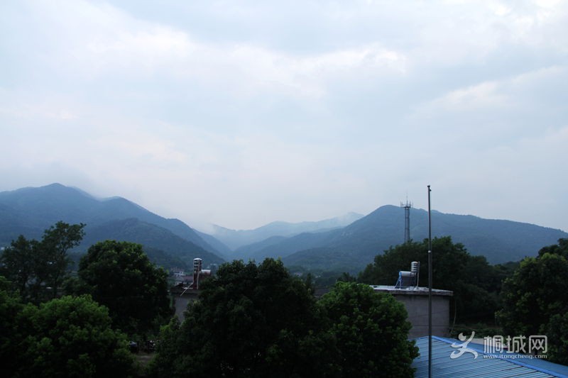 IMG_0154_.jpg