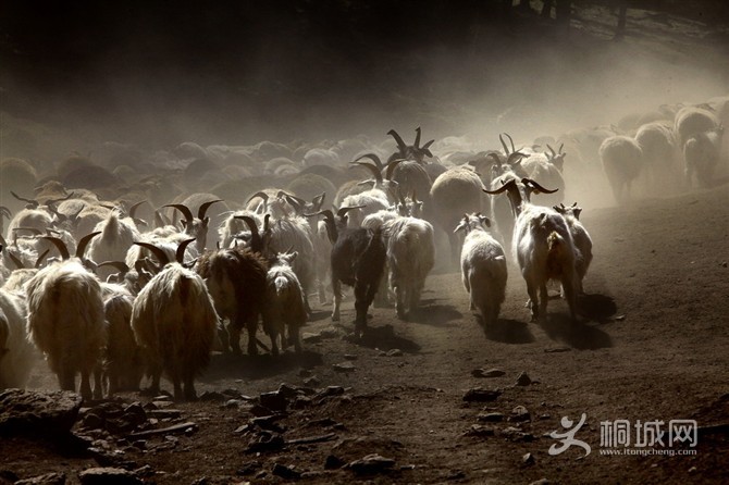 �������� ��������