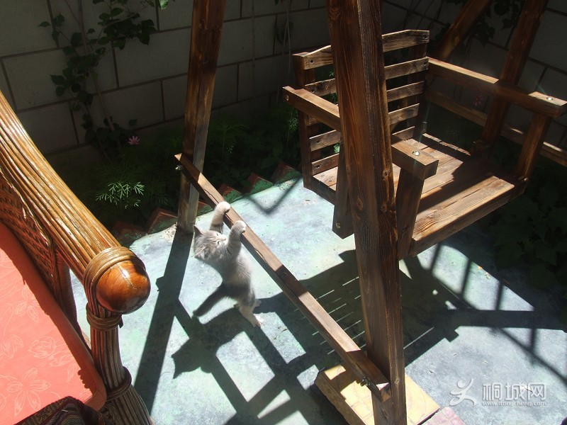 ����ʱ���������