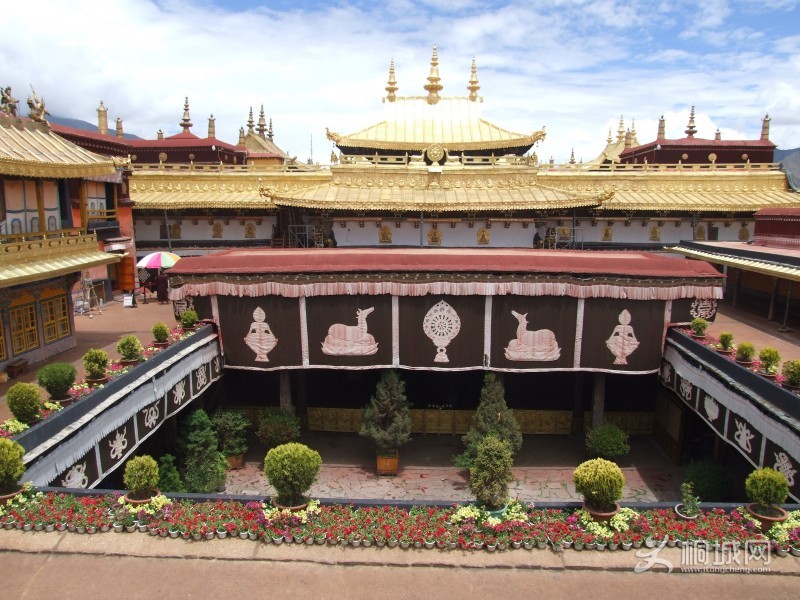 �����½�