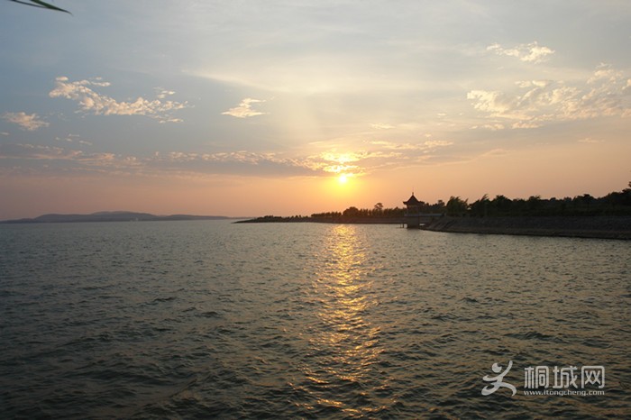 DSC00459_.jpg