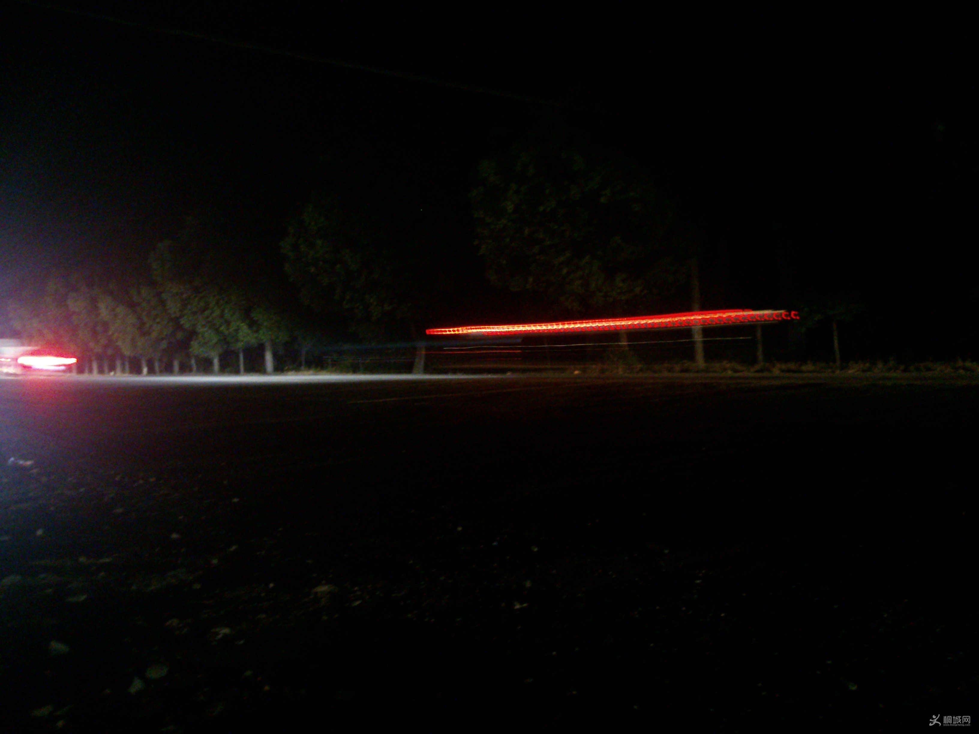 DSC_0504.jpg
