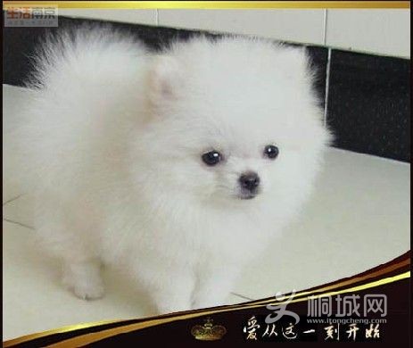 ����Ҳ�ܲ���