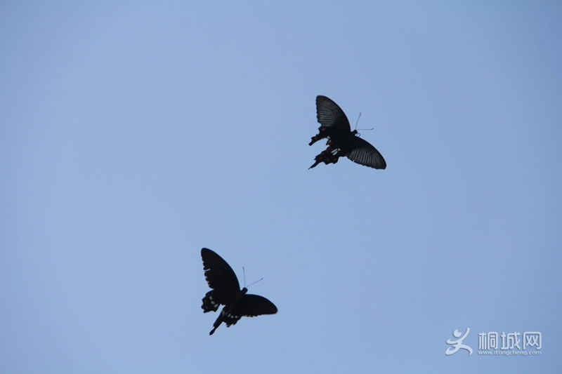 IMG_2851_���� - ����.jpg