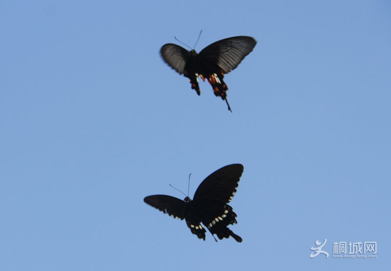 IMG_2879_���� - ����.jpg