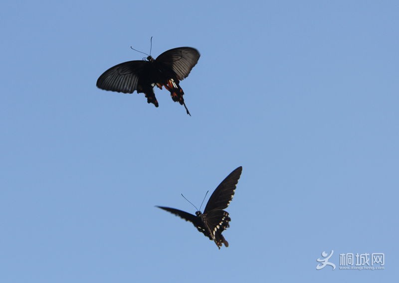 IMG_2880_���� - ����.jpg