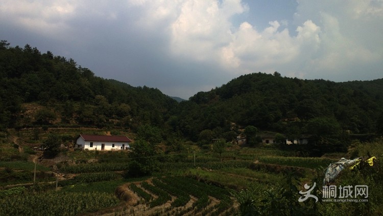 WP_20130818_001.jpg