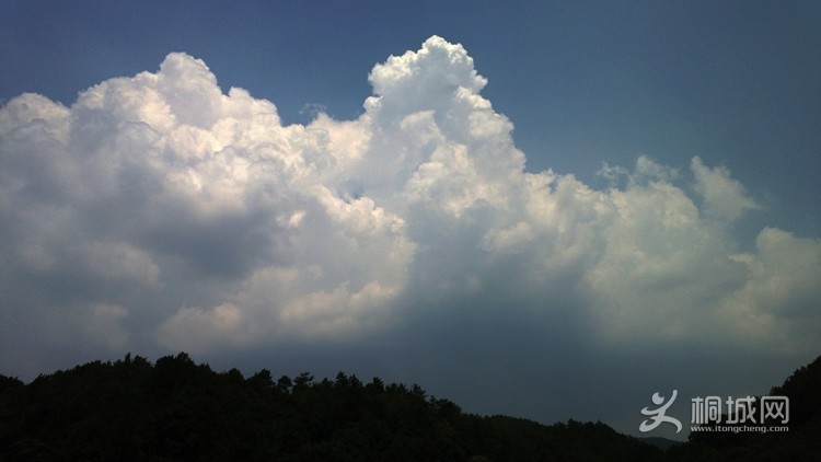 WP_20130818_002.jpg