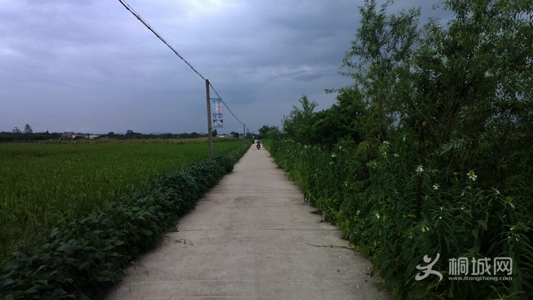 WP_20130826_004.jpg