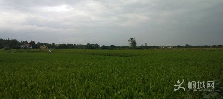 WP_20130826_005.jpg