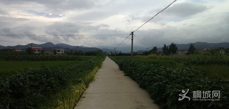 WP_20130826_007.jpg