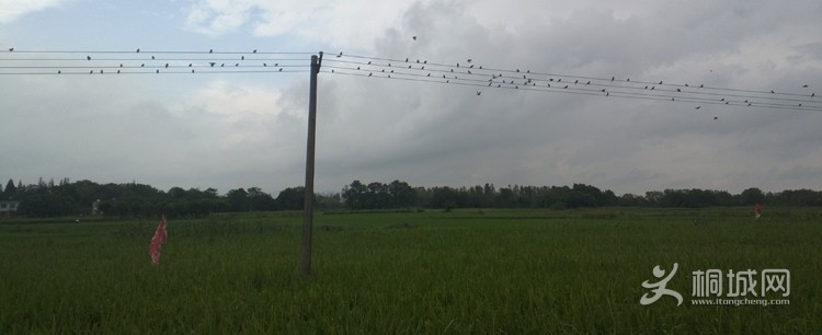 WP_20130826_008.jpg