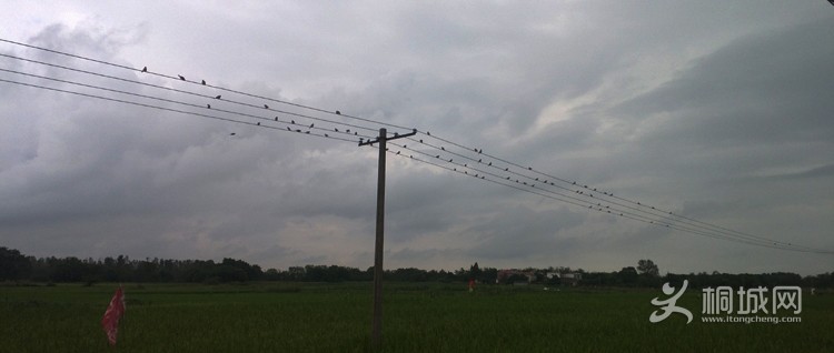 WP_20130826_009.jpg