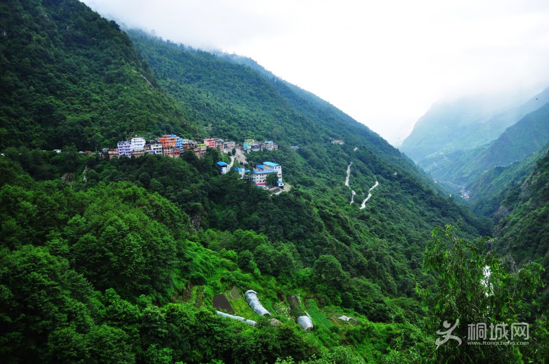 ��ľ�ڰ���