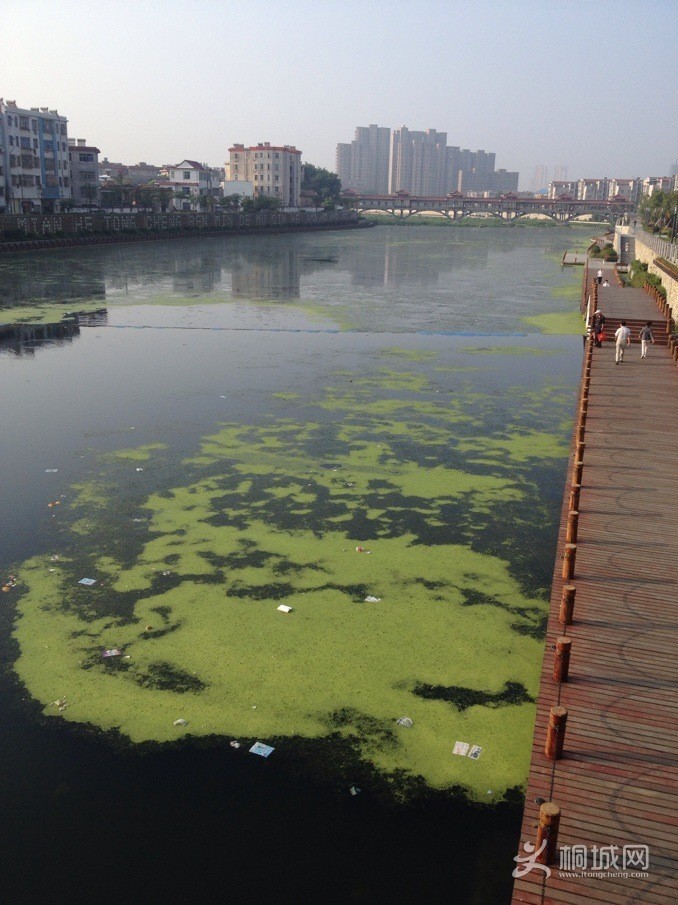 QQͼƬ20130917080021.jpg