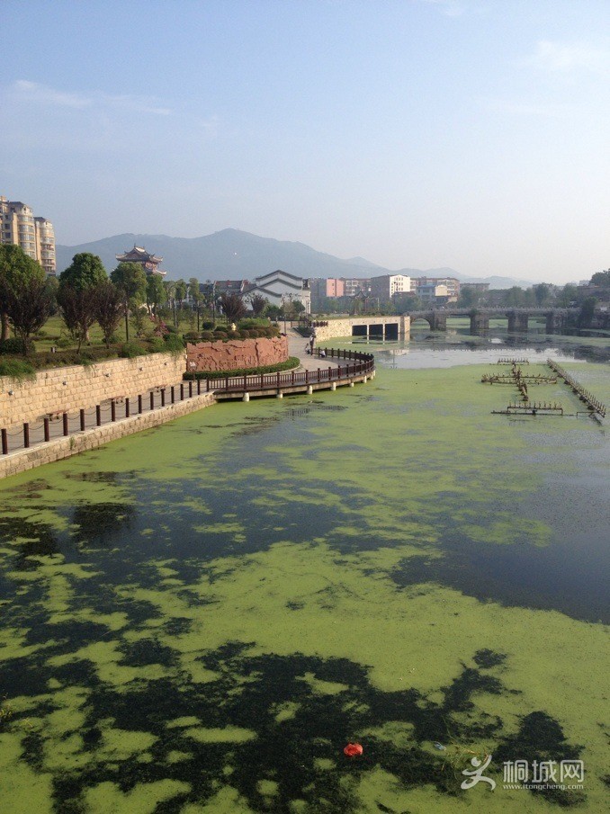 QQͼƬ20130917080051.jpg