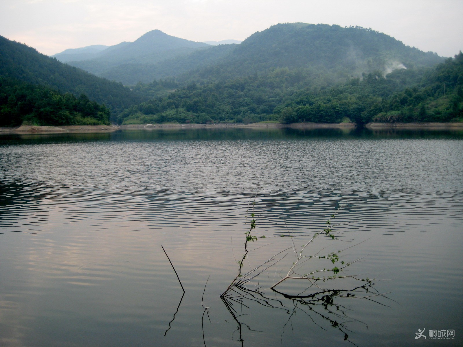 ˮ������