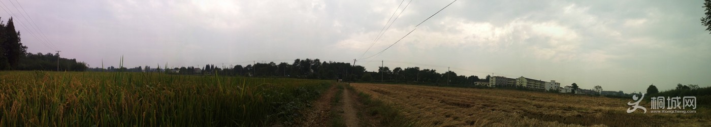 WP_20130923_13_51_30_Panorama.jpg