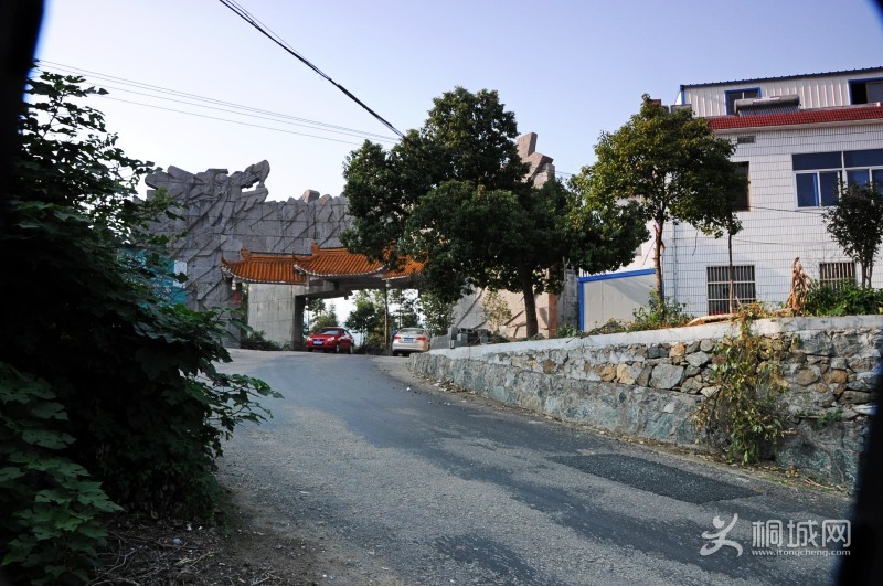 conew_dsc_0154.jpg
