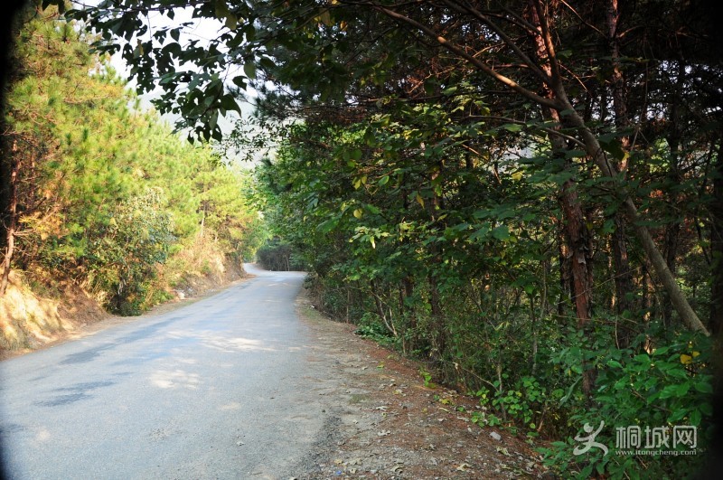 conew_dsc_0151.jpg