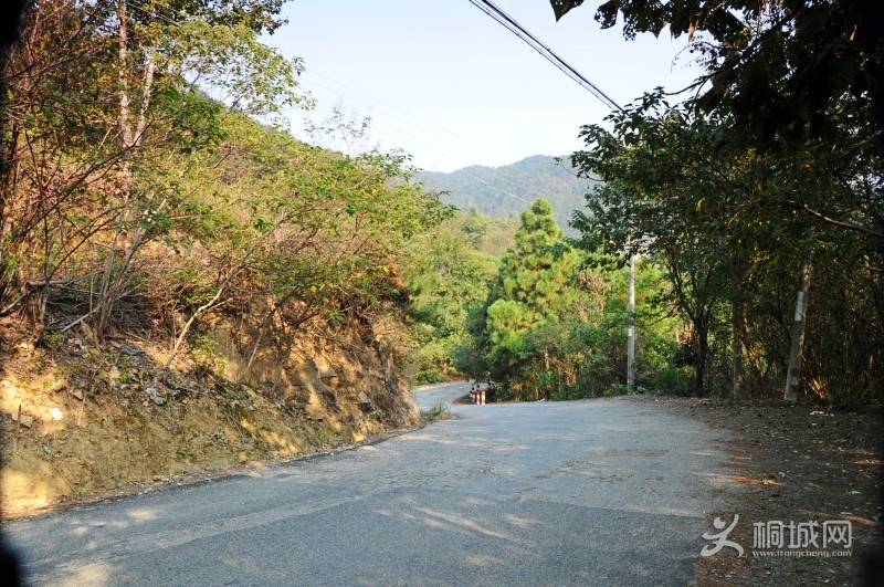 conew_dsc_0157.jpg