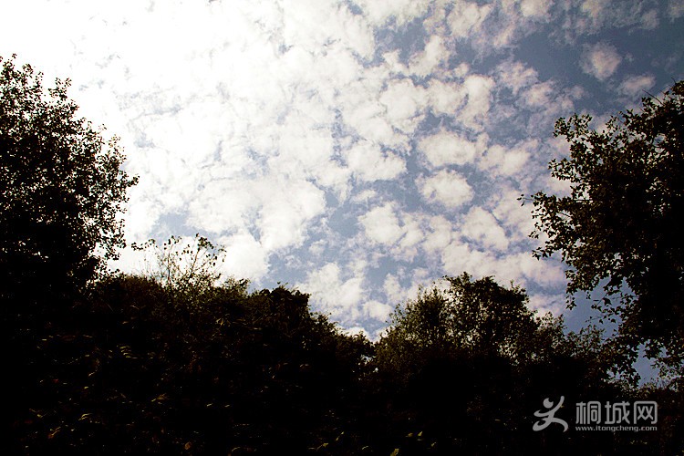 ��ʯɽ�����Ӱ