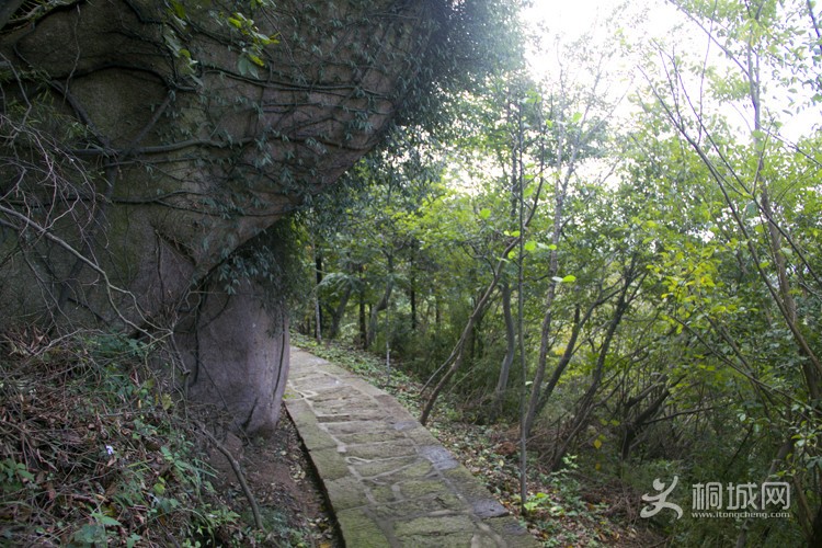 ��ʯɽ�����Ӱ