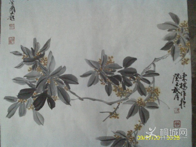 IMAG0189.JPG